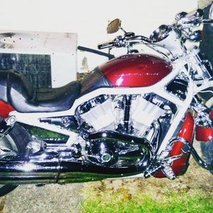 Meet your Posher, Rodney